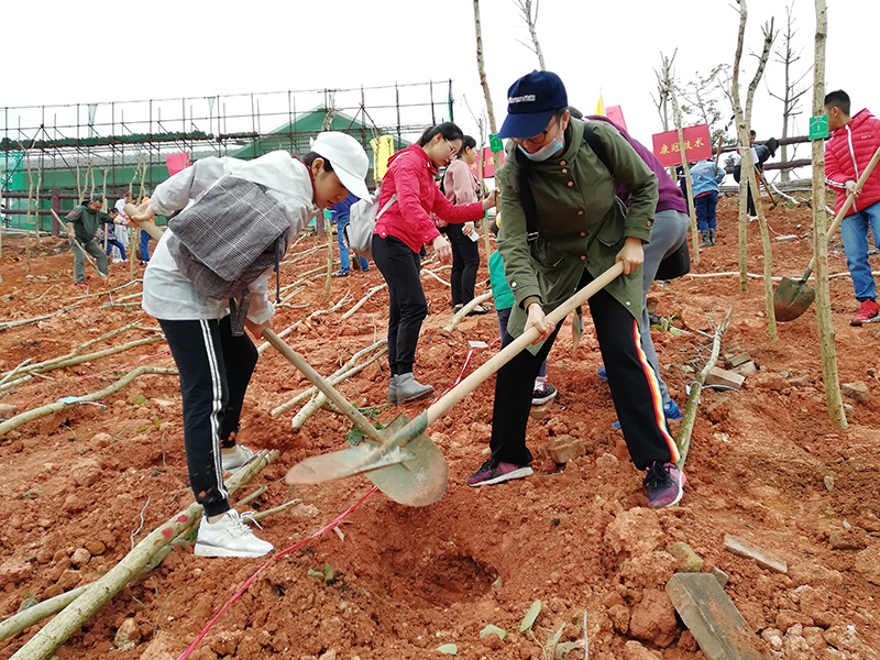 019年3月24日KTC参加“山海林城·宜居深圳”公益植树活动